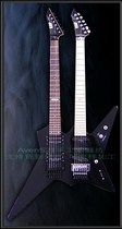  Customized ESPs ANCHANG STAR-W-Hellion Double-headed Electric Guitar
