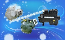 Open Ley Compressor Cryogenic Semi-Seal Compressor Refrigeration compressor 06ER-165 20HP