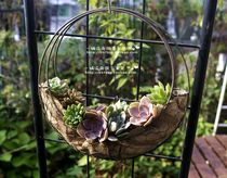 Wrought iron new plant pastoral desktop brown moon boat made old garland fleshy landscaping planting