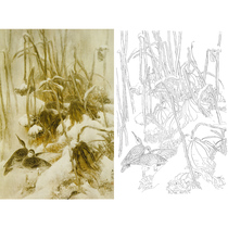 Gongbi painting white sketch background residual lotus snow scene Tan Yuzhou hook line physical print draft 66*98 with color map 509T