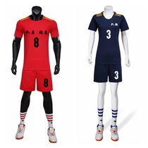 New volleyball suit suit mens and womens national team suit custom breathable volleyball suit training game suit short sleeve printing number