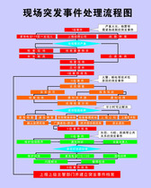 742 decorative painting poster display board inkjet wall chart printing material sticker 723 emergency processing flow chart