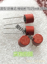 Round fuse tube Cylindrical round explosion-proof slow fuse 125mA T125mA 250V
