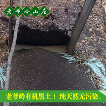 Laoyeling Village black soil planting flowers and vegetables fertilizer soil 2 5 yuan a catty 10 jin