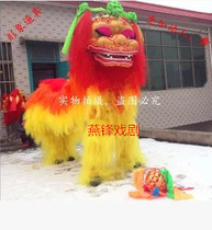 Special price dragon and lion dance glass fiber reinforced plastic gold powder smiley face type north lion lion lion lion lion man ancestral master made