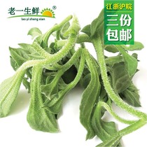 (Old one fresh) fresh ice grass ice salad dish 250g to send salad sauce Jiangsu Zhejiang Shanghai and Anhui