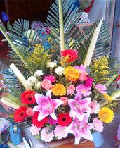 Urban city express blessing delivery flowers desktop small flower basket front desk sign-in desk styling design flowers Shanghai flowers