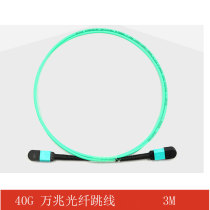 40G 10G Fiber jumper 12 core MPO-MPO 10G Multimode fiber jumper Carrier grade OM3 indoor cable