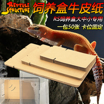 RS feeding box special Kraft paper mat gougong Lizard toy color litter paper towel pet box mat multi-Specification