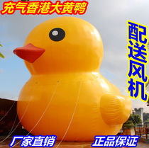 Inflatable water big yellow duck Small yellow duck cartoon gas model shaking sound size yellow duck gas model cartoon model