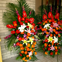 Shanghai Flower Shop Shanghai Flower Express Delivery Flower Ordering Flower Booking Opening Flower Basket Physical Store
