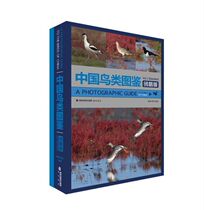 Strait Bookstore China Bird Picture Book Plow Sandpiper Edition Bird Watching Essential Science Education Extracurricular Bird Picture
