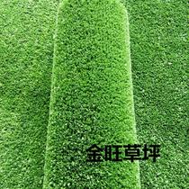 Guangzhou artificial turf Plastic fake turf Lawn carpet Kindergarten artificial lawn Balcony roof