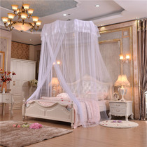Eurostyle thickened stainless steel palace Ting ceiling dome Roof umbrella mosquito net Palace round floor encryption Gaga Princess