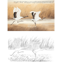 Meticulous painting drawing drawing drawing Reed Crane 66*100 with color picture 468T