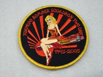 Navy Navy 21st Maritime Control Squadron VS - 21 Retired Memorial Badge in 2005