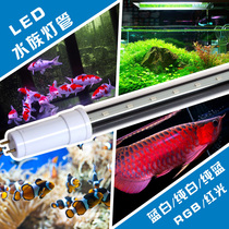 LED aquarium fish tank T8 single-ended lamp Aquatic plants seawater parrot Arowana Koi stingray High-strength penetration