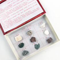 True stone rock specimen Natural mineral collection Primary school science teaching instrument Geography mineral ore natural teaching aid J49006