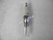 Qingdao Darich Yacht East Fa 4 Stroke Spark plug