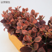 Red Arts Workshop High Simulation (Yulan Leaf) Glial Over Glue High Simulation Plant Leaf Material Red Color Leaves