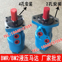 Hydraulic hydraulic motor BMR80 100 125 160 200 250 315 400 BM2
