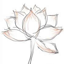 Seven-petaled lotus flower play collection This store consumption shoot this link is a gift can be used with other activities at the same time