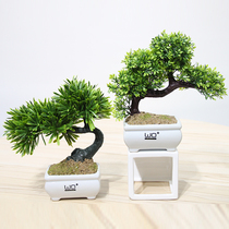 Wo emulation fresh and green plant Potted plant Pine Greeting Guest Pine Plant Bonsai Whole Floral Decorations Hem