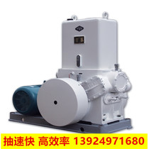 Zhejiang global vacuum pump H-150 slide valve type Pearl River Delta spot supply home delivery