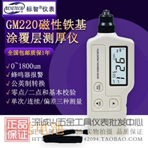 Peuzhi GM220 One-piece Coating Thickness Gauge Iron-Based Paint Thickness Detector 1800um