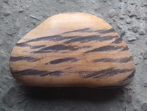 Patterned stone stone stone original fine painting face stone Yellow River strange stone stone ornamental collection stone pictorial stone pictographic stone exquisite stone