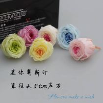 Mini Austin Japan vegetable farm inlet 2 5cm diameter color rose eternal DIY gift box
