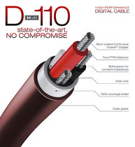 Foreign set up for US DH Labs silver sound speed Silver Sonics D-110 Digital balance line divergence