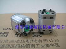 Micro gear pump CBU-F110 0 4 1 0 displacement etc