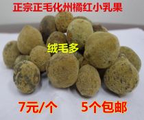5 get one get one 10 get 3 get wild state orange red milk fruit placenta anti smog anti-greasy