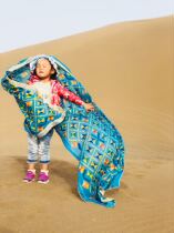 Indian sari Sky blue embroidered piece embroidered color line shawl scarf Travel photo leisure warm