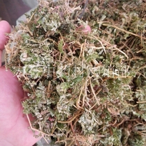 Chinese herbal medicine wild cypress grass local cypress grass arborvitae 500g