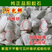 Wubaoyangshi Wubao Tea Yangshi Yangshi Powder Sparkling Wine Sunrise Stone 500g