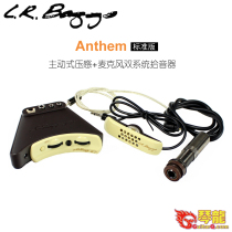 American L R Baggs Anthem folk classical guitar pickup pressure