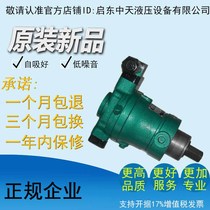 10PCY 25PCY 40PCY 63PCY 80PCY 160PCY 250PCY14-1D axial plunger pump