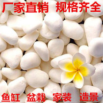  White pebbles White small stones Stone Rain stones Flower pots Decorative paving White stones Decorative stones Stone