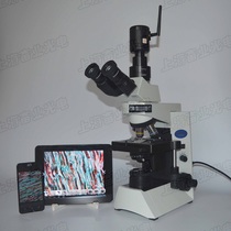 OLYMPUS Olympus CX41 Three-eye Biological microscope with 5 MEGAPIXEL WIFI wireless camera