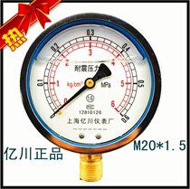 Factory direct sales Shanghai Yichuan instrument factory seismic and earthquake-resistant pressure gauge YN100 0~0 6mpa