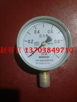 China Hongqi Instrument Co Ltd Hongqi pressure gauge Y-100 0~1MPa pressure gauge