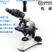 1600 times sperm of cell bacteria in the aquaculture clinic of the three-color medical animal clinic of optical bibliom microscope