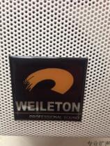 Witton Wex full range speaker amplifier professional stage audio conference performance outdoor wedding