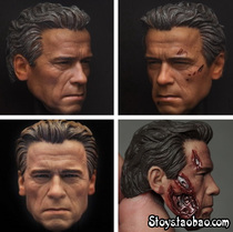 1:6 Terminator 5 Genesis Arnold T800 brown hair white hair version and war damage version spot