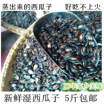 Lao Liu Guazi spiced watermelon seeds steamed and not hot five catties Gaoan specialty non-red flag