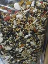 Parrot grain in large parrot with Shell grain grain parrot special seed grain 500g (a catty)