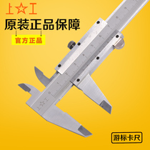 Stainless steel vernier caliper Stainless steel vernier caliper High precision mini oil standard caliper 0-150mm0-200mm