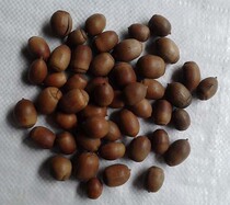 Chinese herbal medicine Acorn Acorn Acorn 500g